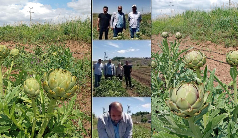 ÇAKÜ Gıda ve Tarım Meslek Yüksekokulu Araştırma ve Uygulama Alanı’nda