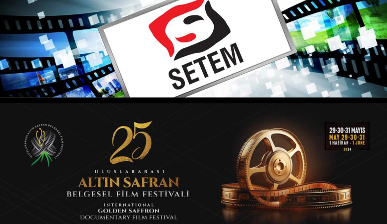 Sinema ve Televizyon Eseri Sahipleri Meslek Birliği (SETEM), T.C. Kültür