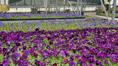 Çankırı Karatekin Üniversitesi ve Çankırı Belediyesi tarafından oluşturulan protokol kapsamında,