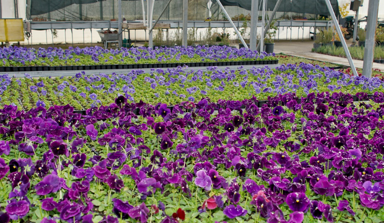 Çankırı Karatekin Üniversitesi ve Çankırı Belediyesi tarafından oluşturulan protokol kapsamında,