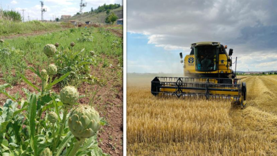 Üniversitemiz, akademik birimleriyle, araştırma-uygulama merkezleriyle ve proje destek ofisiyle Çankırı’nın