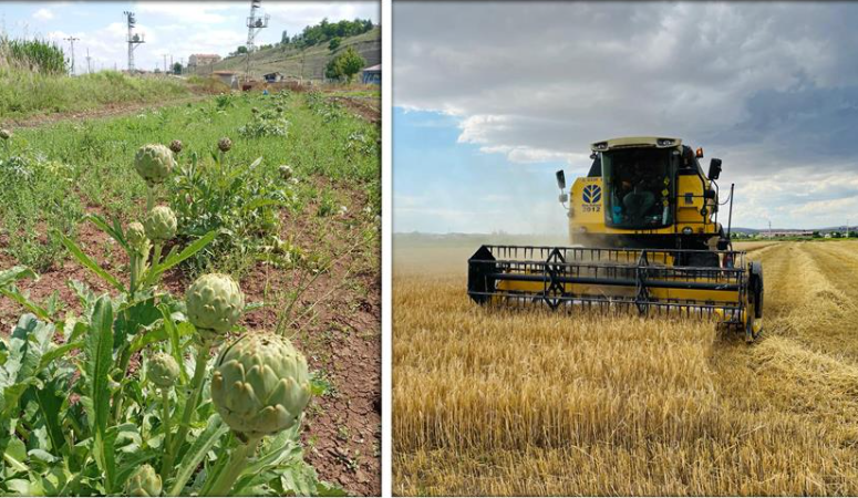 Üniversitemiz, akademik birimleriyle, araştırma-uygulama merkezleriyle ve proje destek ofisiyle Çankırı’nın