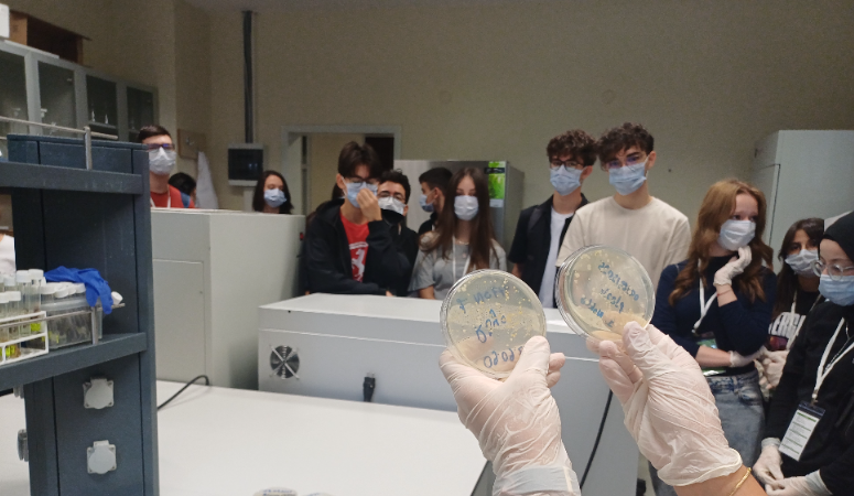 TÜBİTAK 4004 Doğa Eğitimi ve Bilim Okulları Destekleme Programı kapsamında