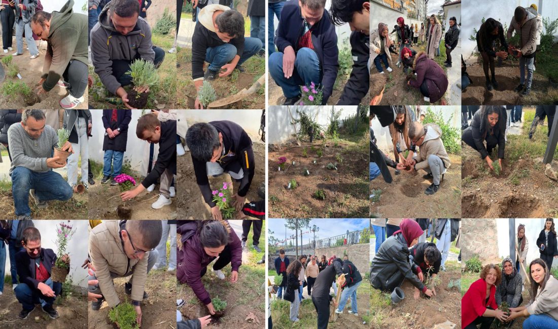 Çankırı Karatekin Üniversitesi Orman Fakültesi Peyzaj Mimarlığı Bölümü Peyzaj Teknikleri
