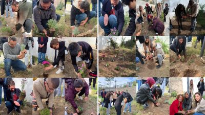 Çankırı Karatekin Üniversitesi Orman Fakültesi Peyzaj Mimarlığı Bölümü Peyzaj Teknikleri