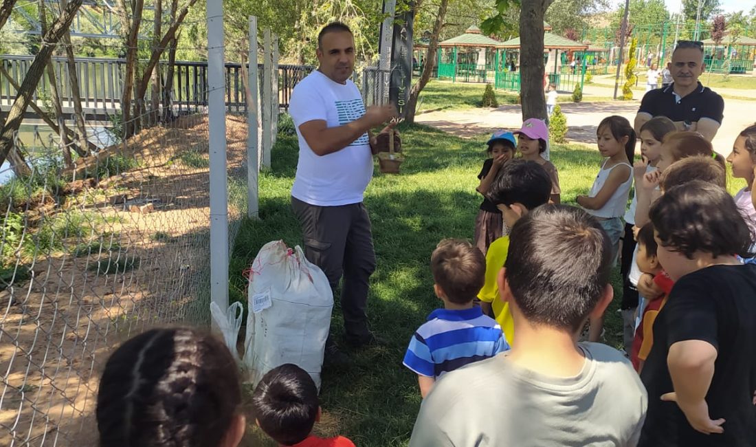 Şabanözü Meslek Yüksekokulu Tıbbi Hizmetler ve Teknikler Bölümü, Tıbbi Laboratuvar