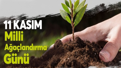 11 Kasım Milli Ağaçlandırma Günü kapsamında fidan dikim etkinliği gerçekleştirilecektir.