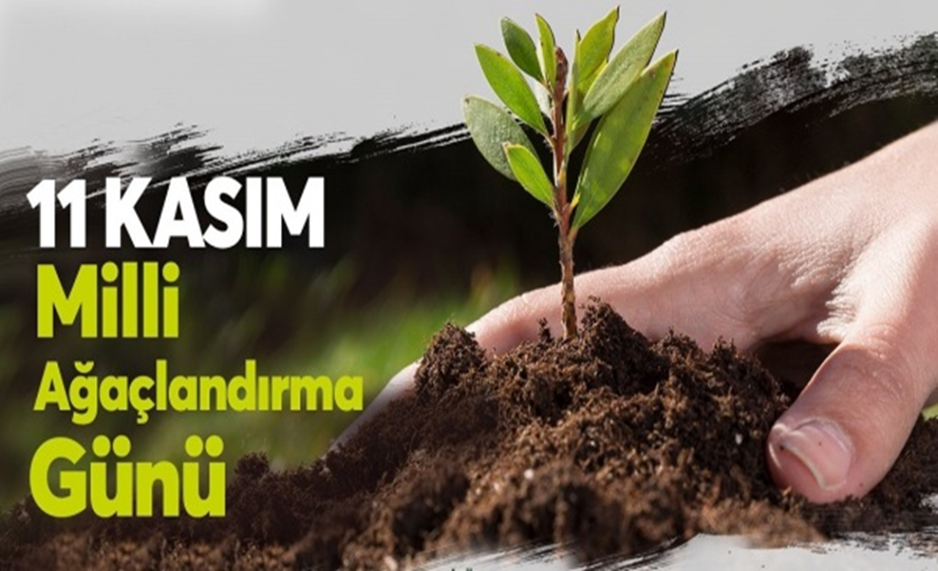 11 Kasım Milli Ağaçlandırma Günü kapsamında fidan dikim etkinliği gerçekleştirilecektir.