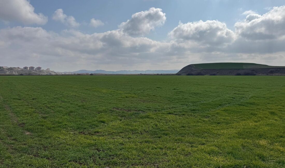 Çankırı Karatekin Üniversitesi Gıda ve Tarım Meslek Yüksekokulu Kızılırmak Araştırma