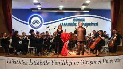 Çankırı Karatekin Üniversitesi (ÇAKÜ) Ortak Dersler Koordinatörlüğü, Sanat Tasarım ve